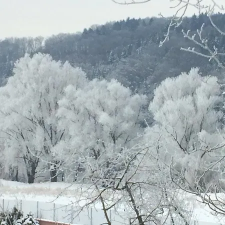 Idylle Ii An Der Donau